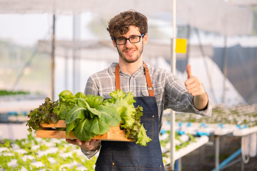 Wholesale vegetables handled for fresh produce distribution